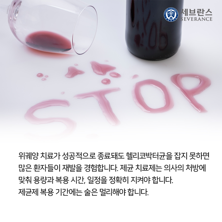 위궤양 치료가 성공적으로 종료돼도 헬리코박터균을 잡지 못하면 많은 환자들이 재발을 경험합니다. 제균 치료제는 의사의 처방에 맞춰 용량과 복용 시간, 일정을 정확히 지켜야 합니다. 제균제 복용 기간에는 술은 멀리해야 합니다.